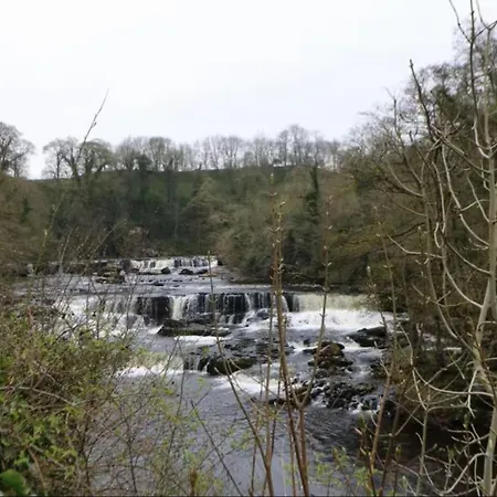 Bumblebee Cottage, Falls Ferienhaus Aysgarth
